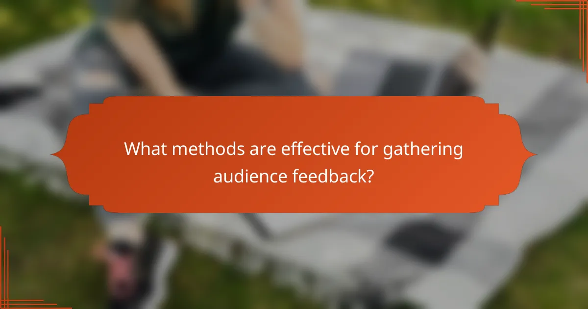 What methods are effective for gathering audience feedback?